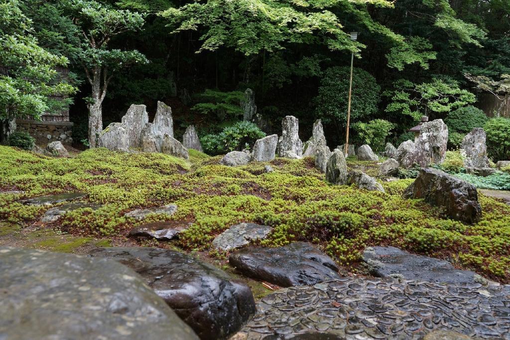 Hotel Koyasan Shukubo Saizenin Esterno foto